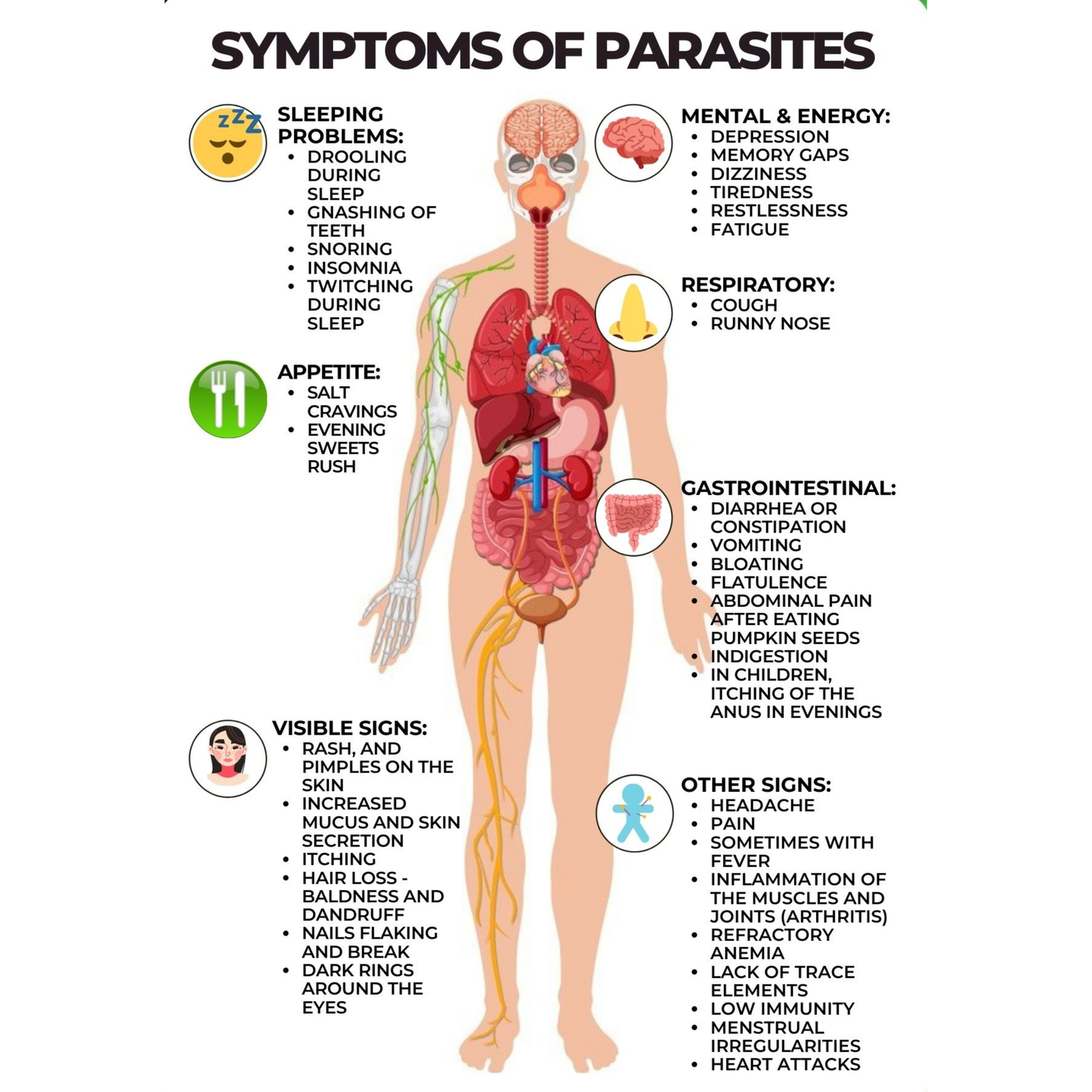 444mg FENBENDAZOLE (100)